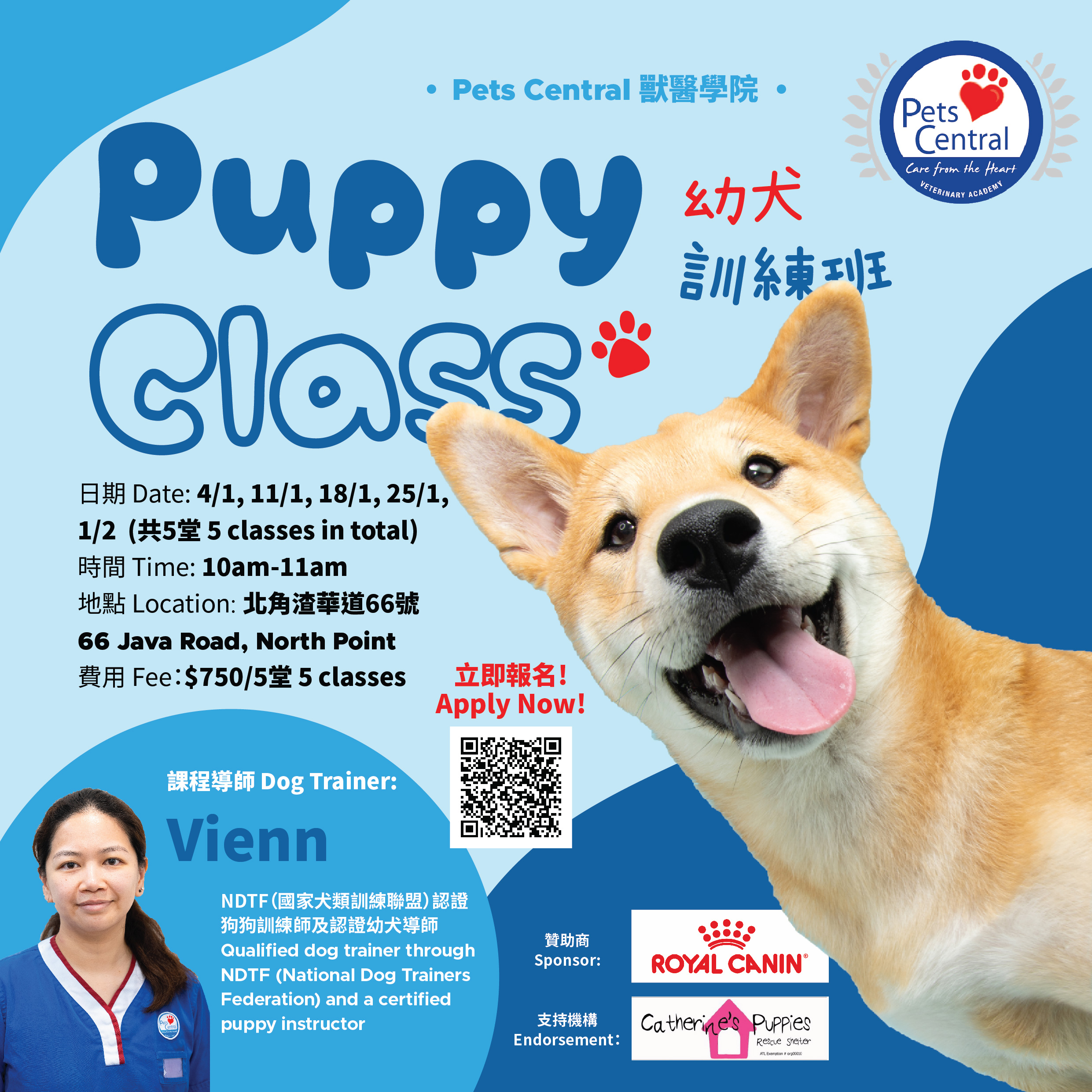 puppy class leaflet_bi_square (2).jpg (1.34 MB)